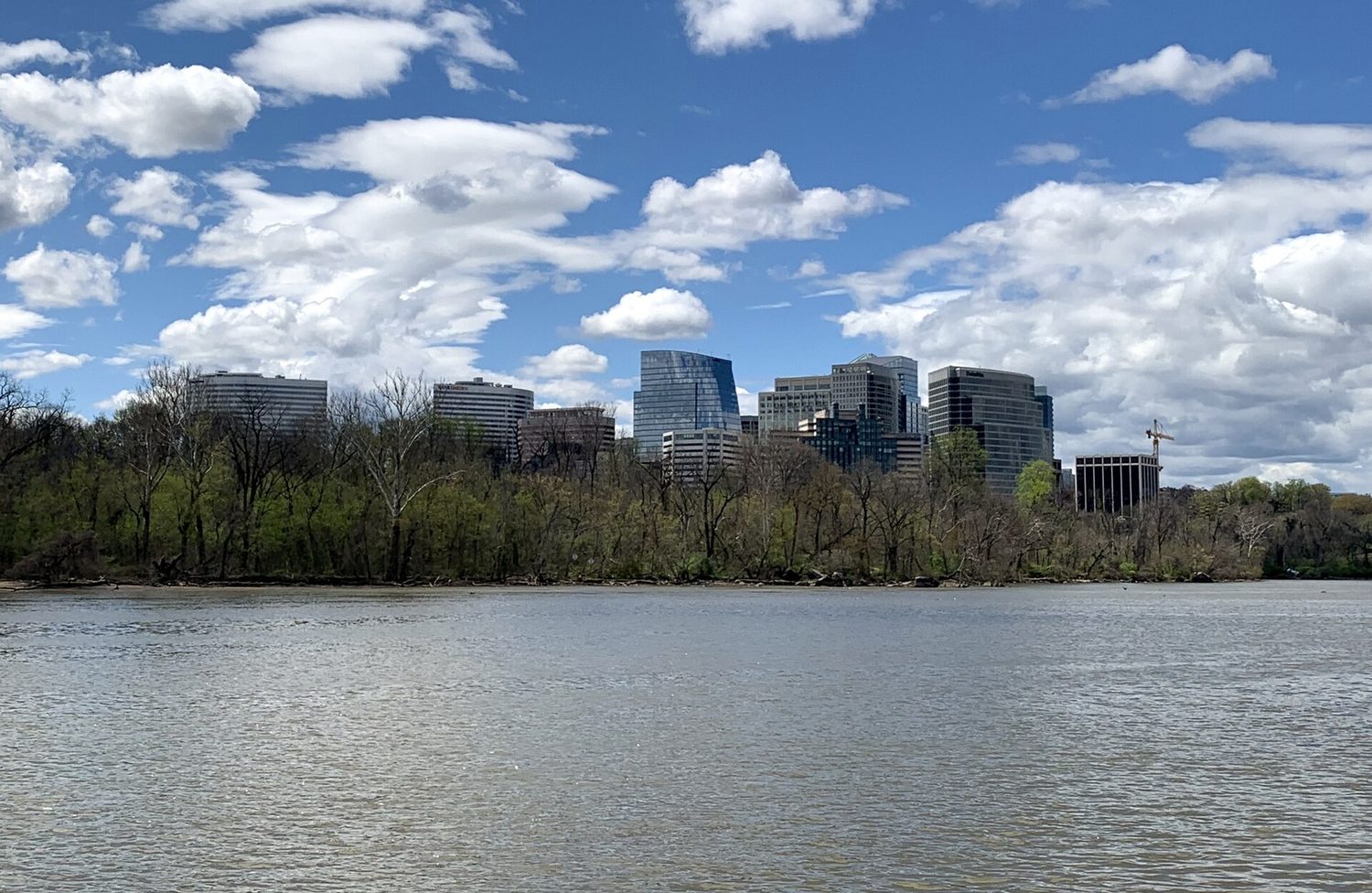 Arlington, Virginia skyline above the Potomac riverbank